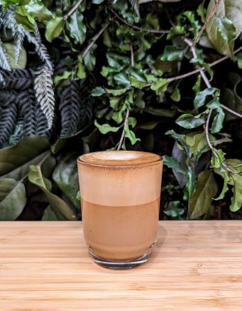 PXL_20230301_130629134~2